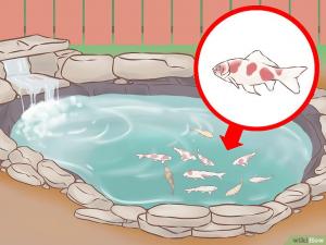 How to Fish (with Pictures) - wikiHow